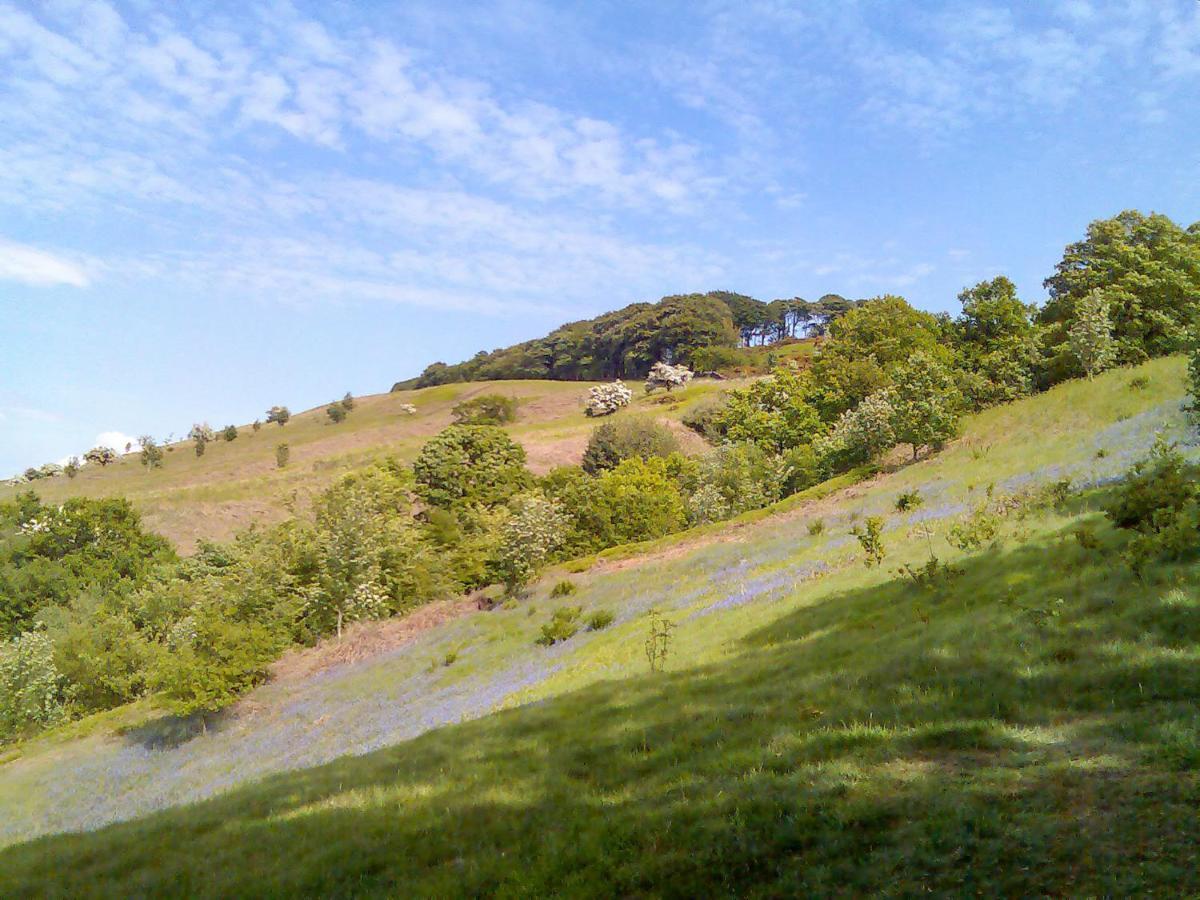 Myddelton Grange Villa อิลคลีย์ ภายนอก รูปภาพ